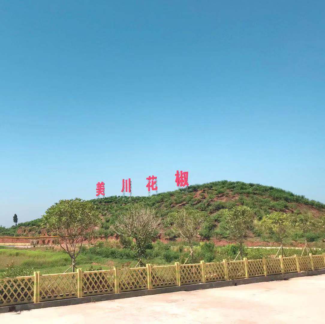 村企共創(chuàng)，建美麗宜居鄉(xiāng)村