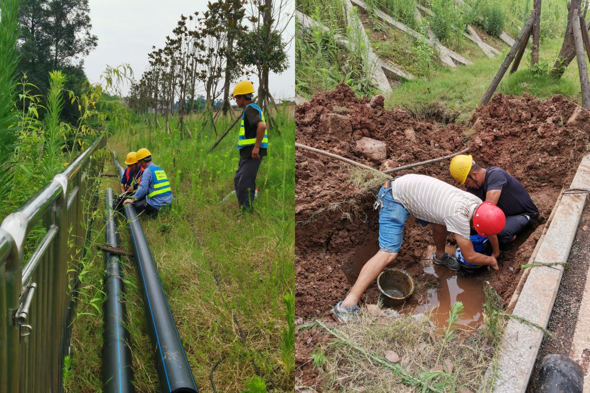 集團(tuán)公司黨委書記、董事長周燕賓深入基層開展“為群眾辦實事”工作