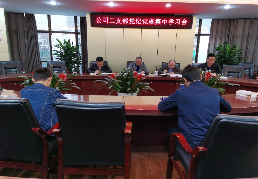 集團(tuán)公司二支部召開十月黨員大會暨黨建業(yè)務(wù)互融共促主題黨日活動(dòng)