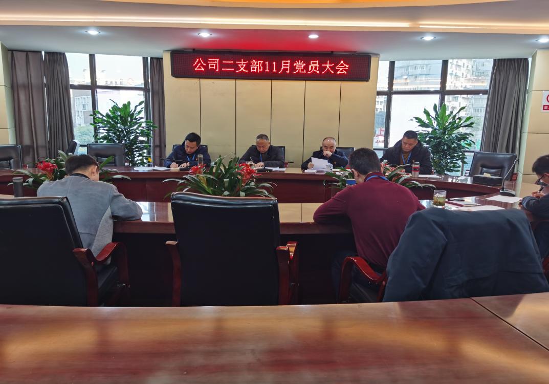 集團(tuán)公司二支部召開(kāi)十一月黨員大會(huì)暨 宣傳貫徹“新安全生產(chǎn)法”主題黨日活動(dòng)