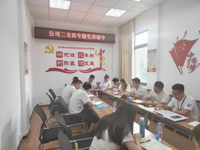 公司二支部開展“齊力共進(jìn)、強(qiáng)企有我” 主題黨日活動