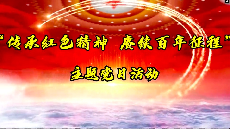 傳承紅色精神，賡續(xù)百年征程-共產(chǎn)黨員服務(wù)大隊(duì)主題黨日活動(dòng)