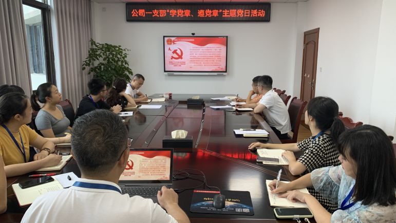 清源水務(wù)公司黨委組織開(kāi)展“學(xué)黨章、遵黨章”系列主題黨日活動(dòng)